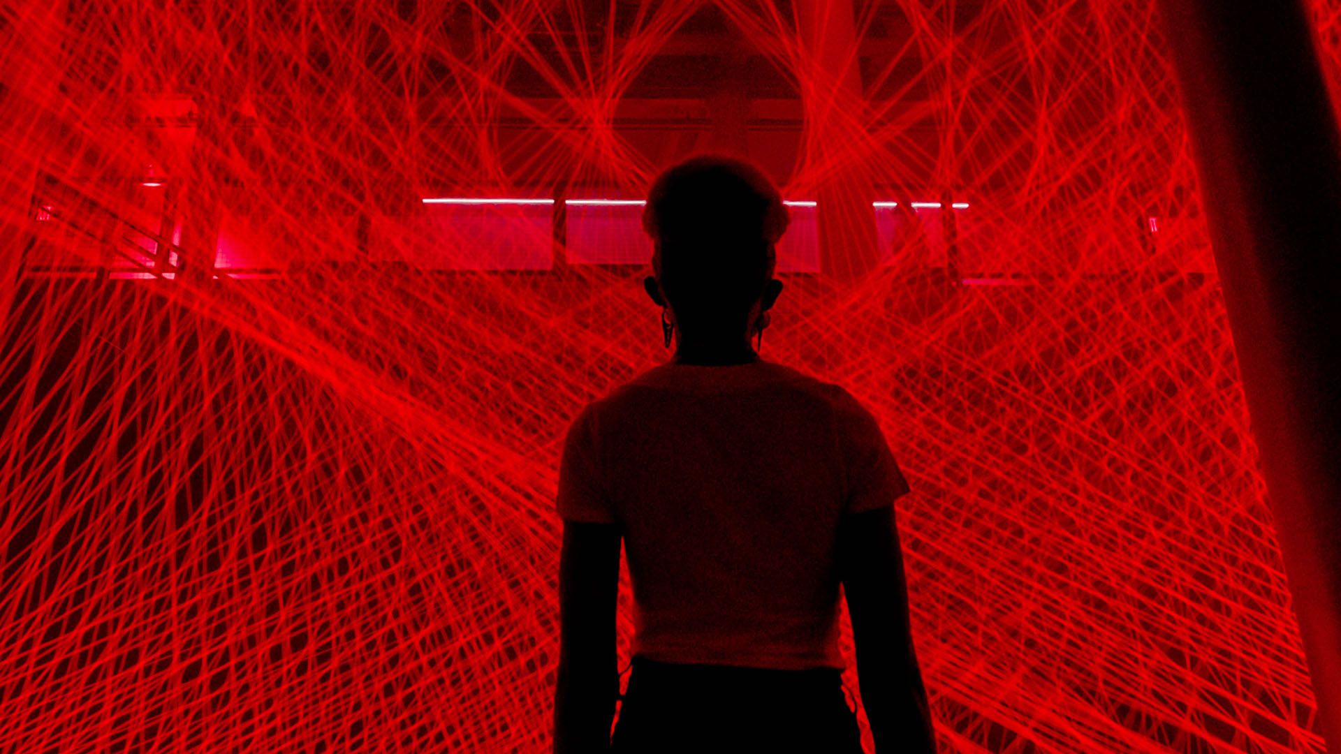 View of a person's back as they watch interweaving lasers