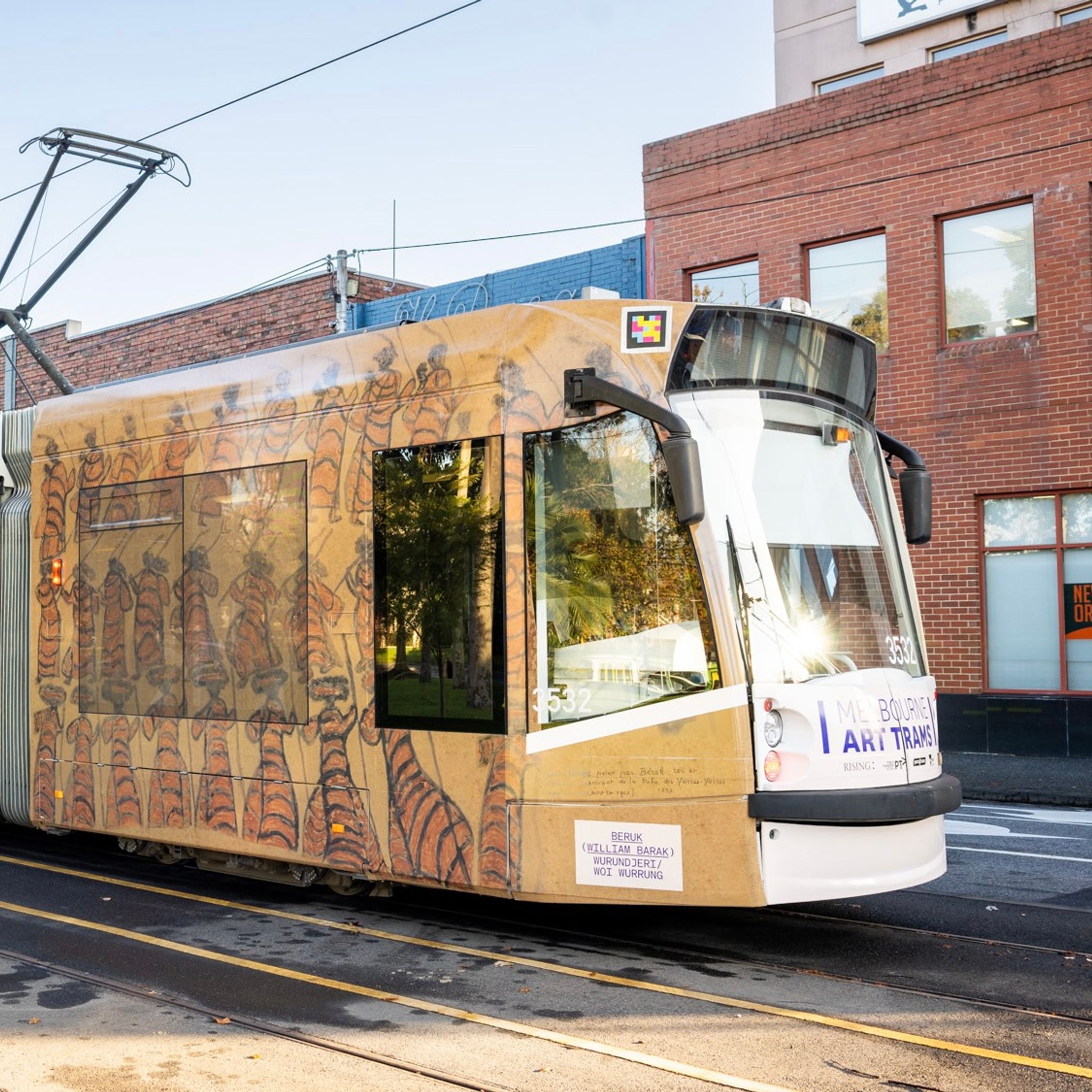 Beruk (William Barak) Art Tram