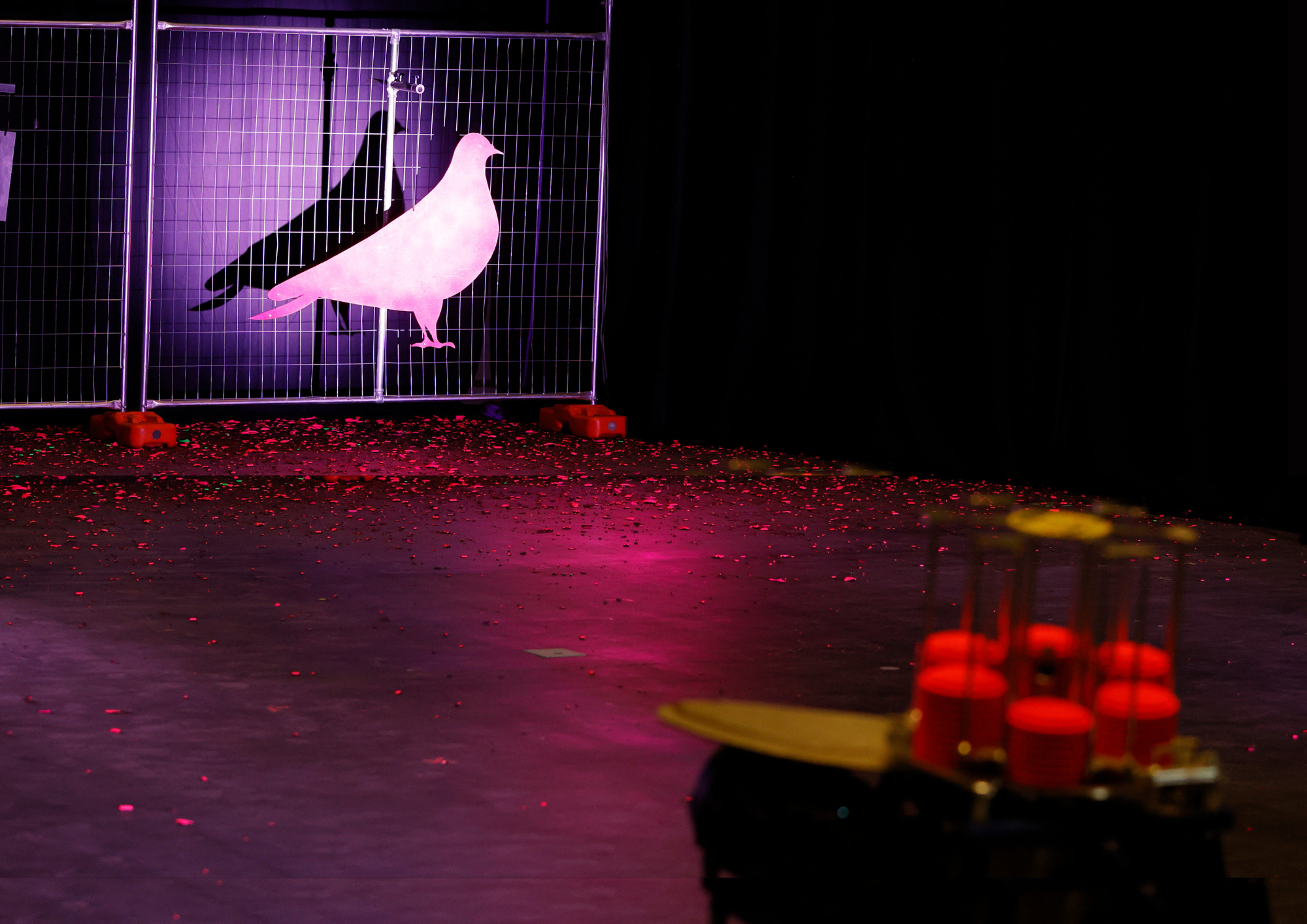 Pink light is cast over a metal pigeon silhouette hanging from wire. A trap machine is nearby, loaded with florescent targets. 