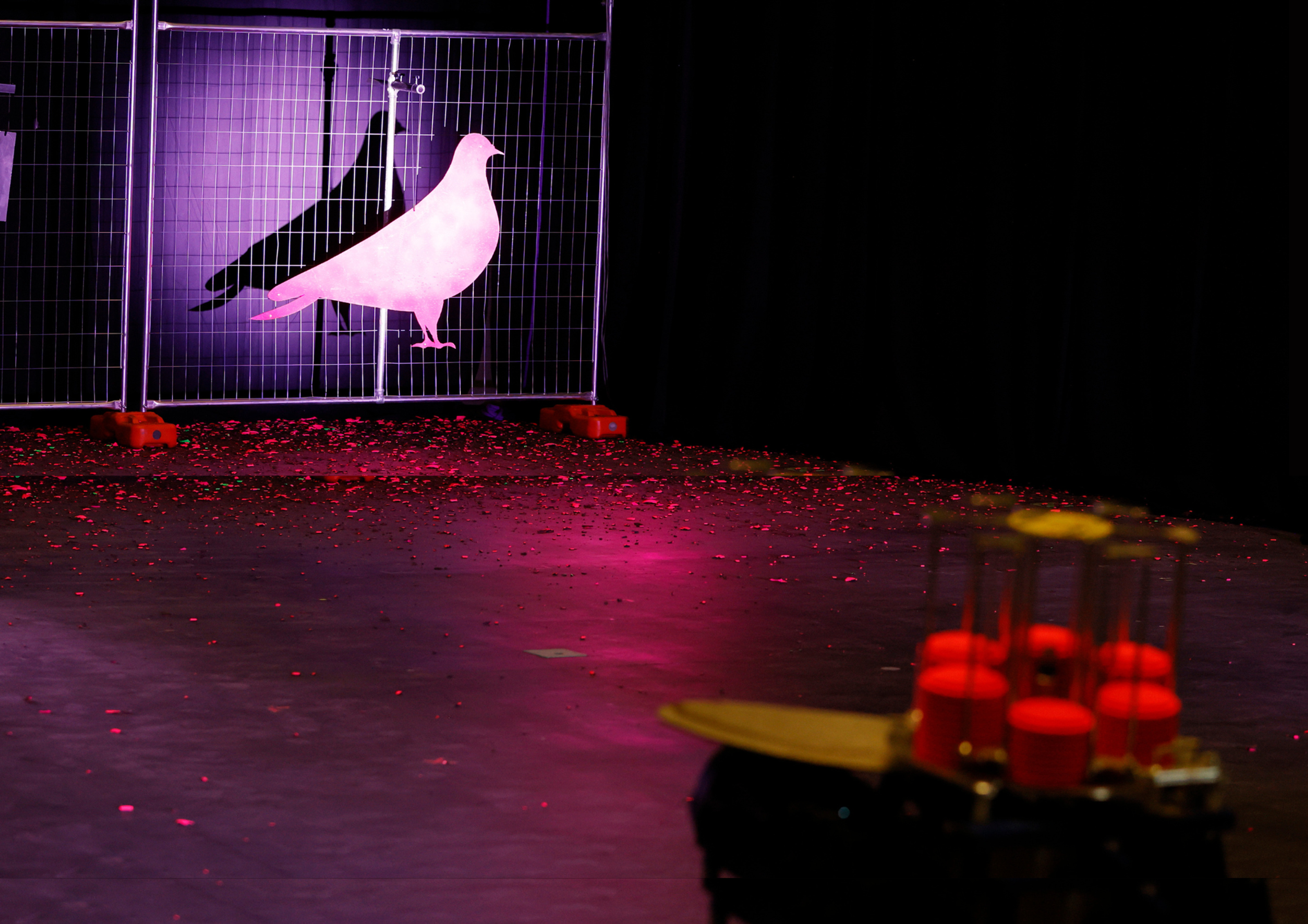 Pink light is cast over a metal pigeon silhouette hanging from wire. A trap machine is nearby, loaded with florescent targets.