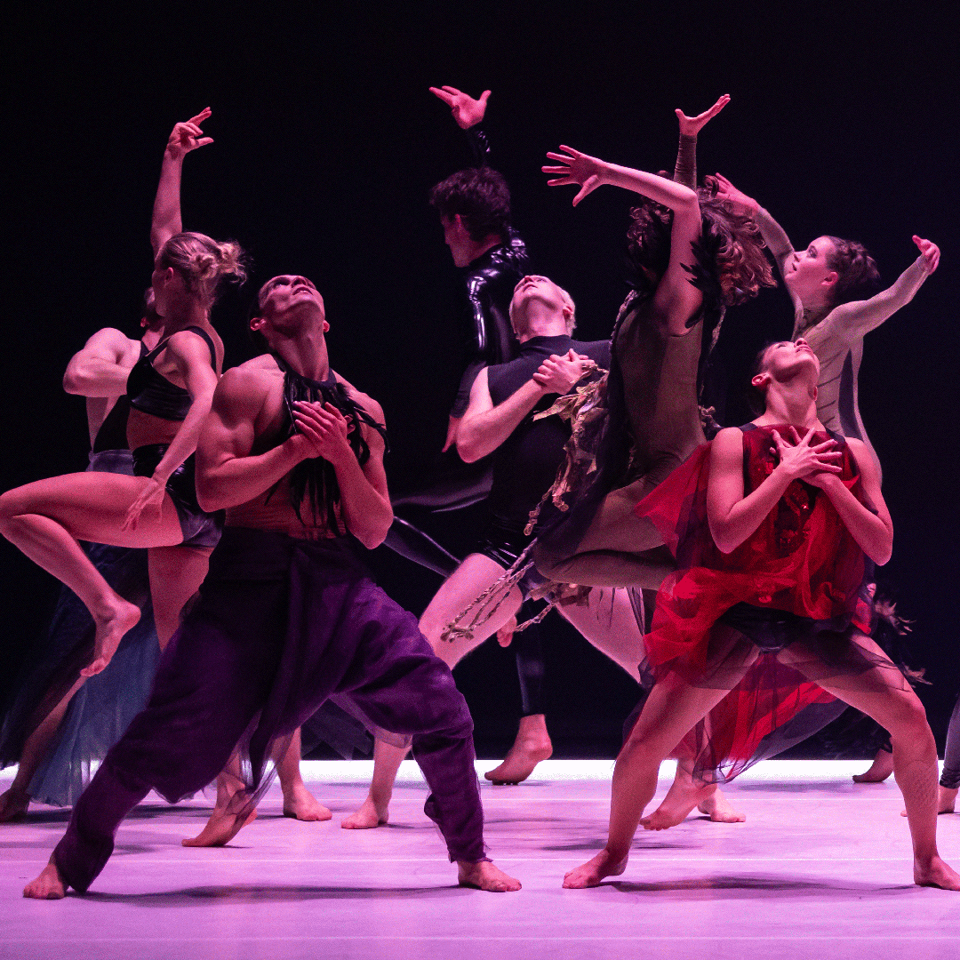 RISING: 27 May—08 June 2026, Melbourne — RISING: Australian Dance ...